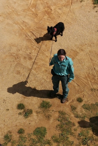 Hund Frau schwarz Sonne Schatten