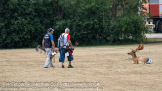 OESTM_20260807–24
