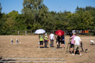 OESTM_20260809–353