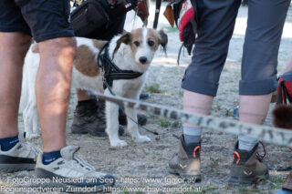 OESTM_20260809–42